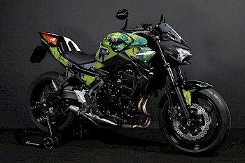 Kawasaki Z650 Dragon